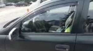 Ветробрани за OPEL ASTRA F (1992-1998) 3 врати