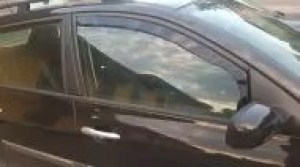 Ветробрани за RENAULT MEGANE (1995-2002) Combi - 4бр. предни и задни