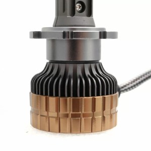 Led-krushki-Led-sistema-D2S-D2R-model-A60-za-12-Volta-55W-Canbus-6000K-D2STN1-5