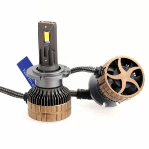 Led-krushki-Led-sistema-D2S-D2R-model-A60-za-12-Volta-55W-Canbus-6000K-D2STN1-6
